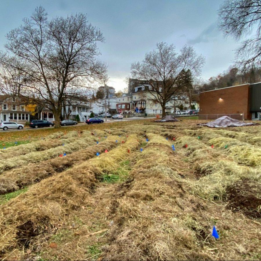 The Peekskill Community Garden (at Lepore Park) at rest.