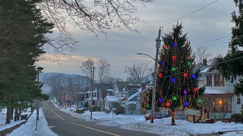 Hudson Avenue Tree Brightens Winter Nights