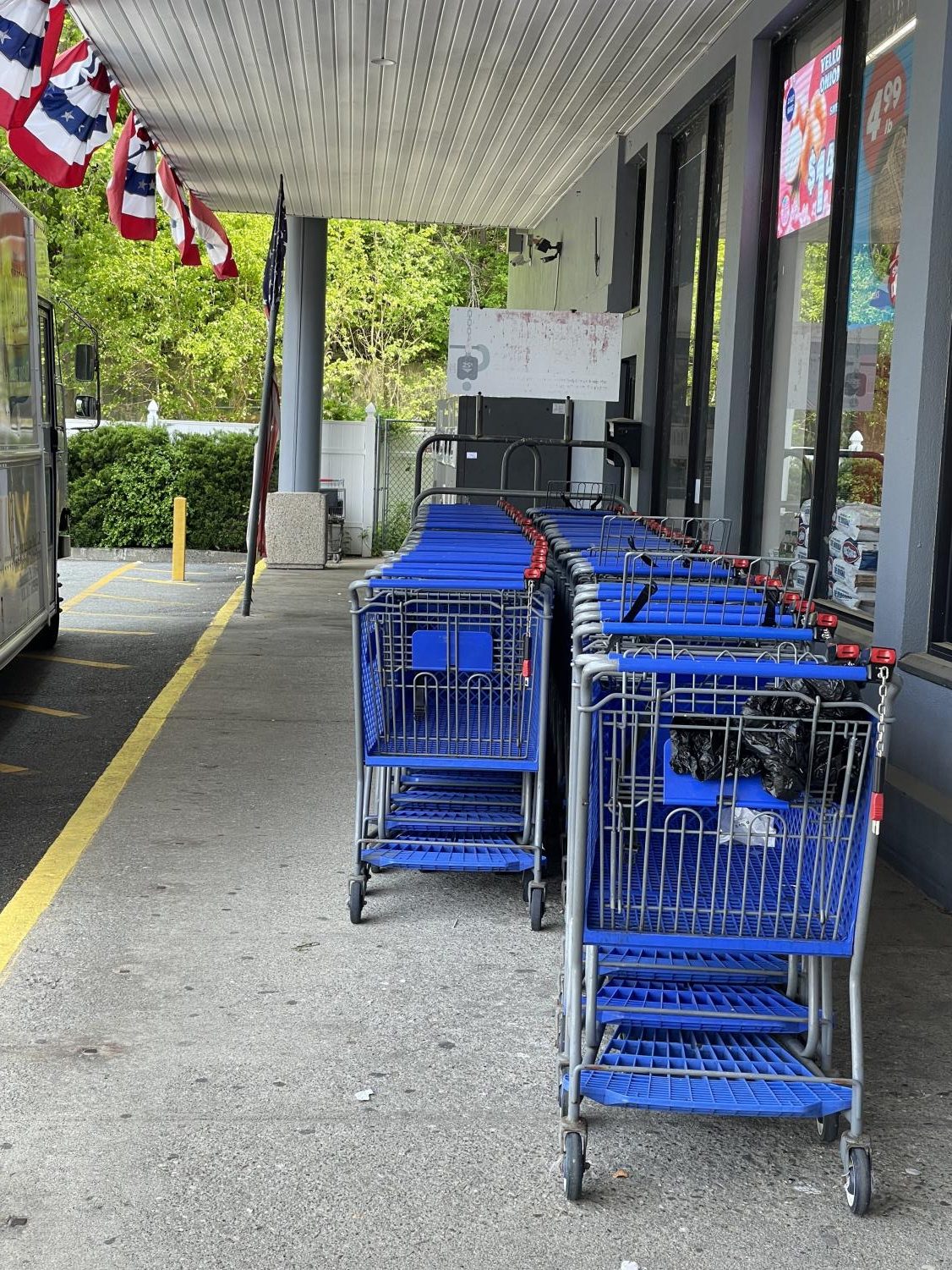 Shopping carts at SavALot can only be released with a coin.  (Photo by Regina Clarkin) 