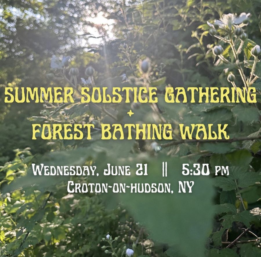 Summer Solstice celebrated with a forest walk Wednesday – Peekskill Herald