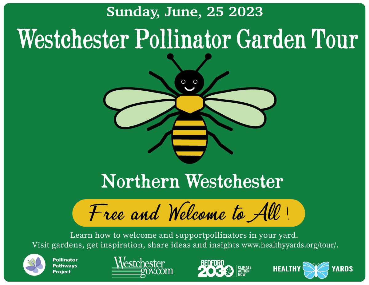 Tour A Pollinator Garden Sunday Peekskill Herald 3401