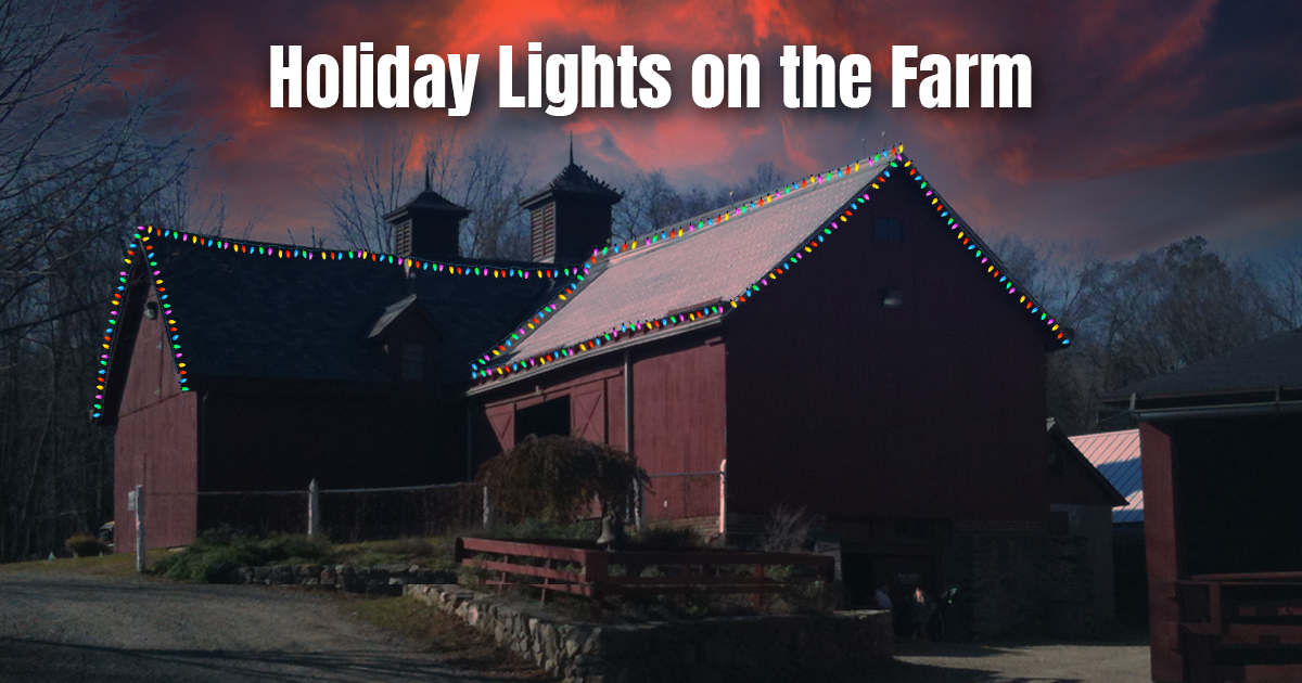 Holiday+Lights+on+the+Farm+at+Muscoot+in+Katonah