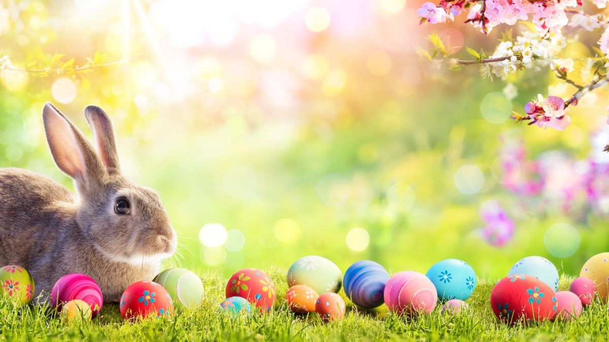 Eggstra Special Easter Kids Events Roundup