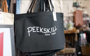 How visitors perceived Peekskill