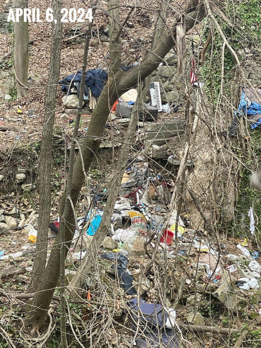 In this photo from April 6 evidence of a homeless encampment is shown along McGregory Brook. (Photo by Gene Panczenko) 