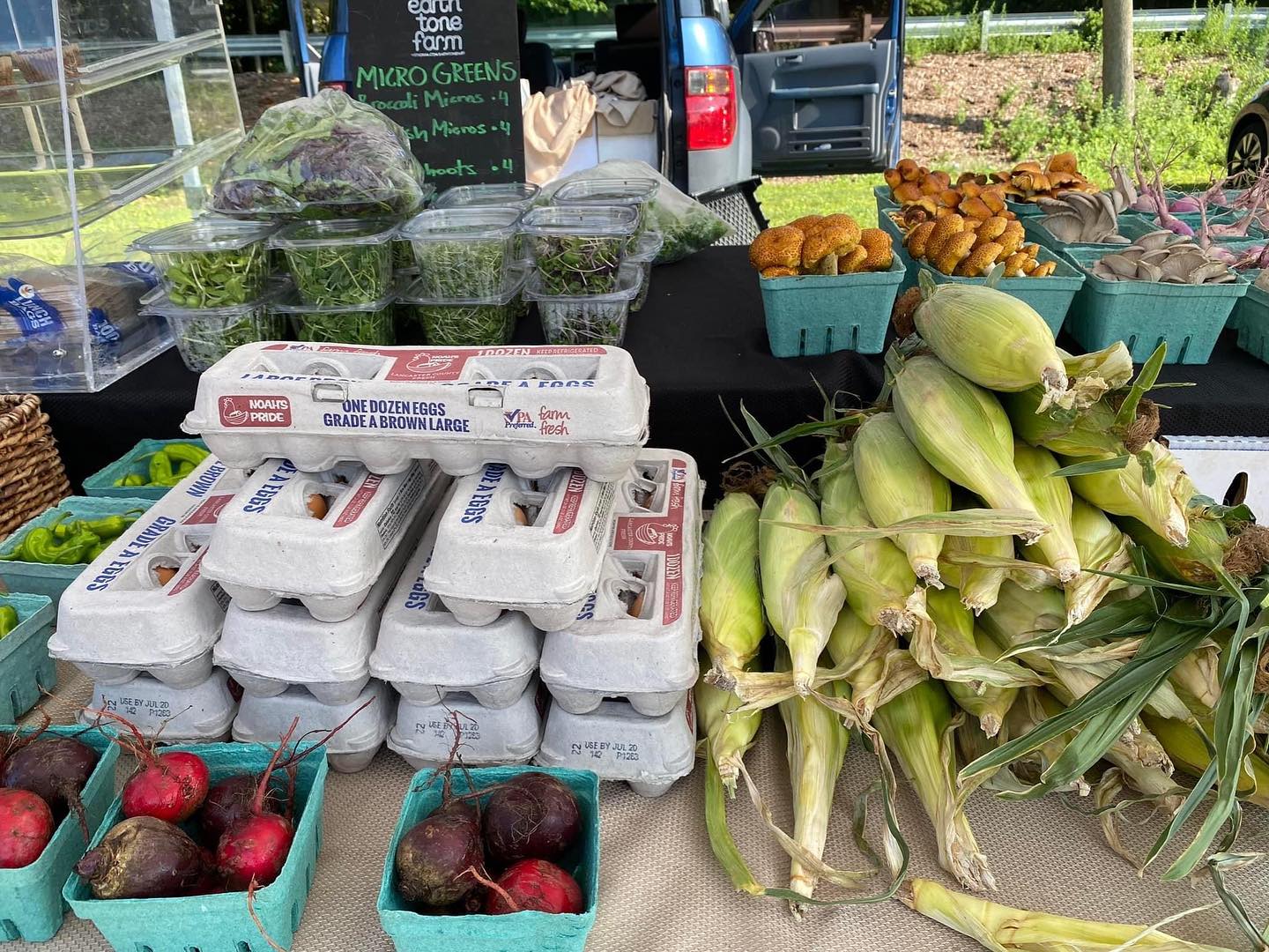 The Farmer's Market is BACK