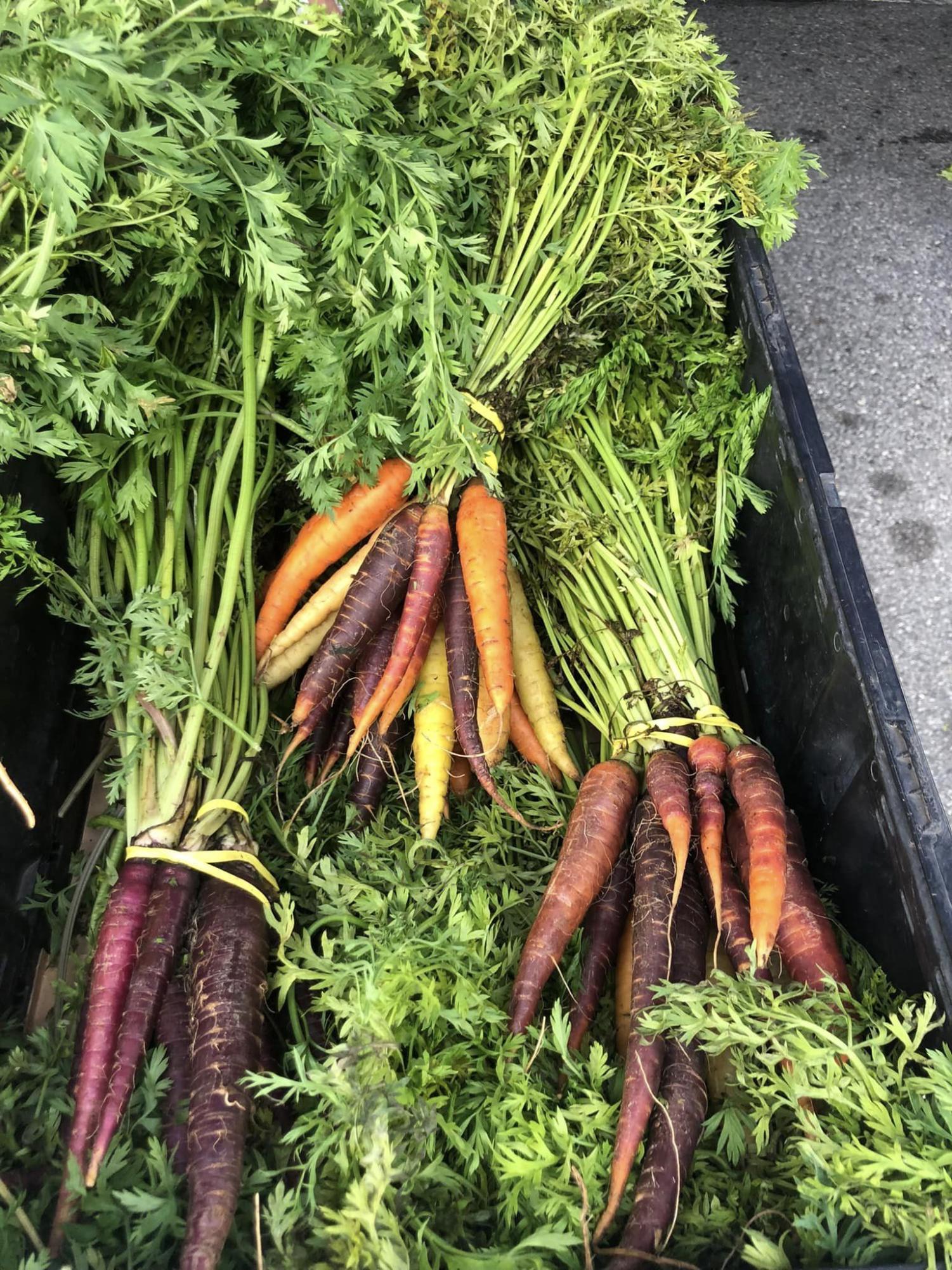 The Farmer's Market is BACK