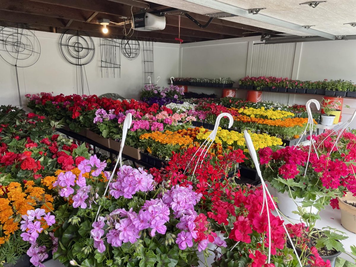 Garden Club of Peekskill to hold Annual Mothers Day Plant Sale