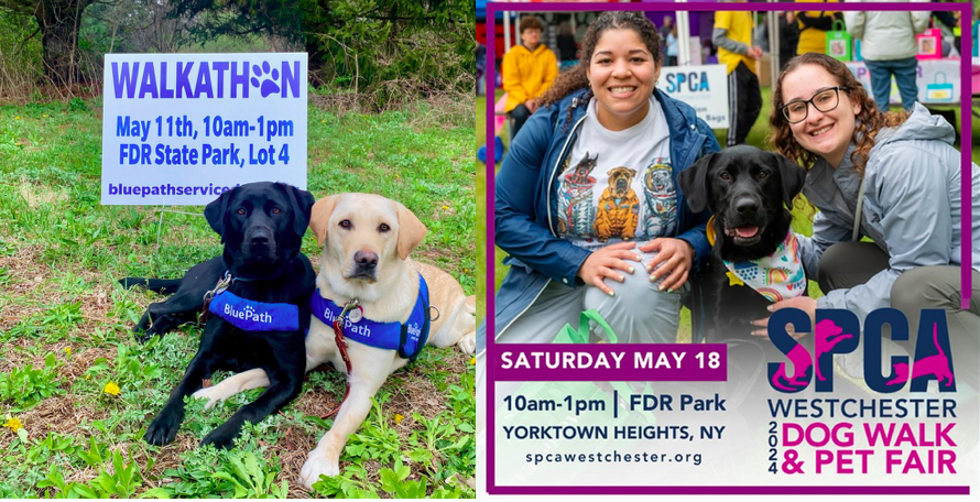 It will be a doggy dog of a time at FDR State Park for two weekends for the Blue Path Dogs Walkathon and the SPCA of Westchester Dog Walk and Pet Fair
