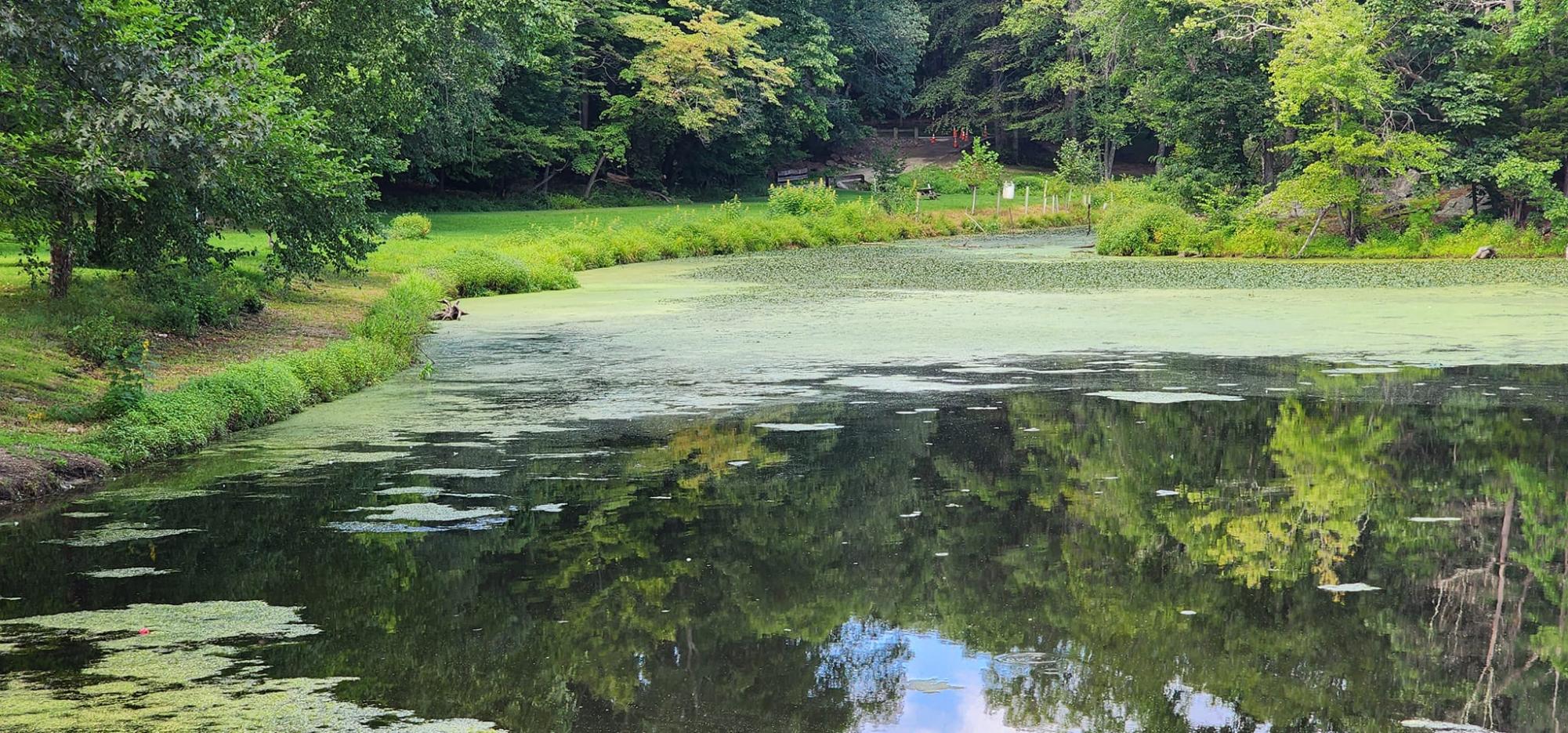 Volunteers needed to clean Lounsbury Pond and kayak tours to Worlds End