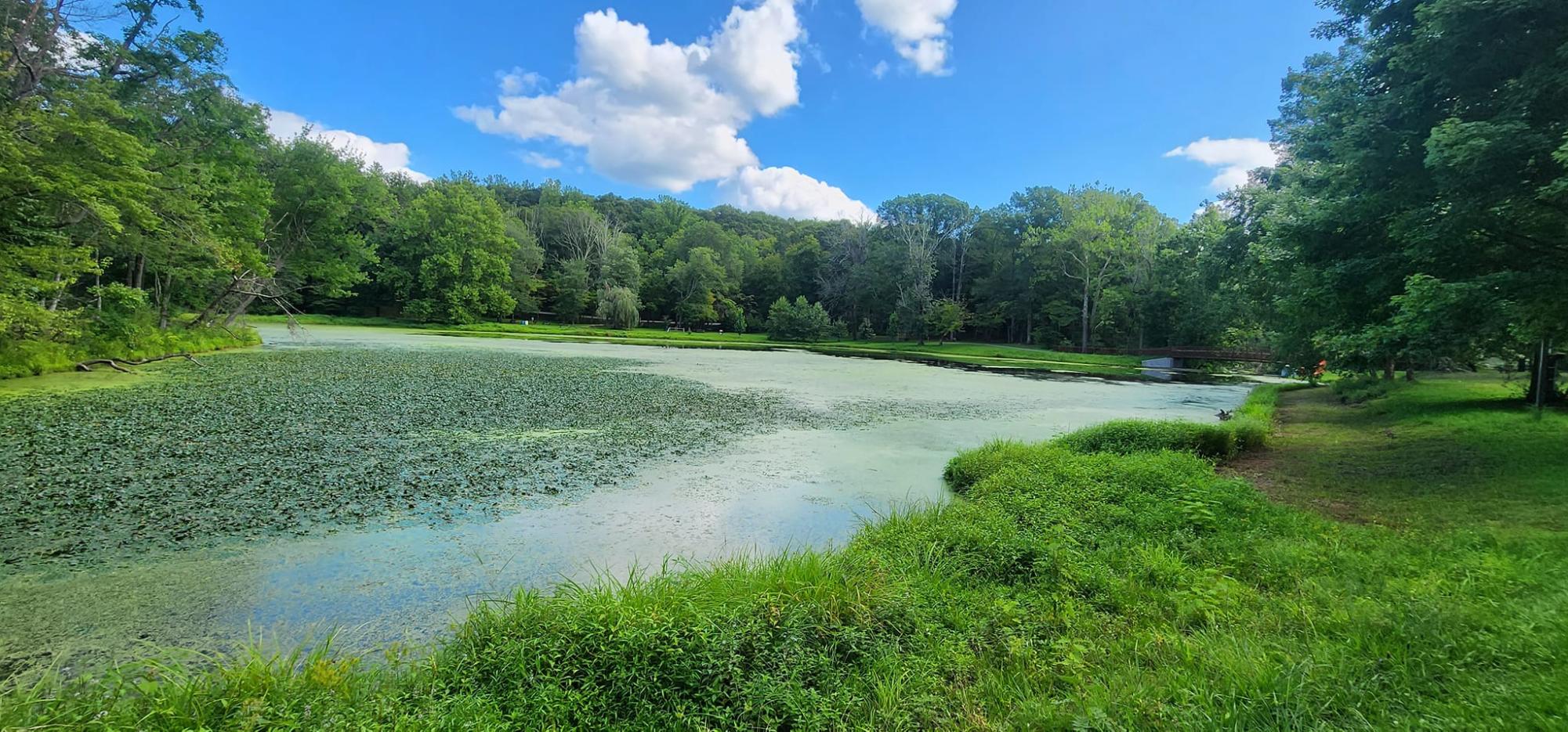 Volunteers needed to clean Lounsbury Pond and kayak tours to Worlds End