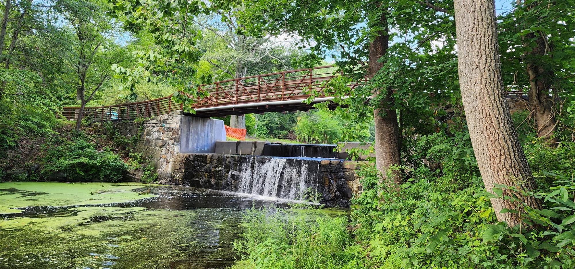 Volunteers needed to clean Lounsbury Pond and kayak tours to Worlds End