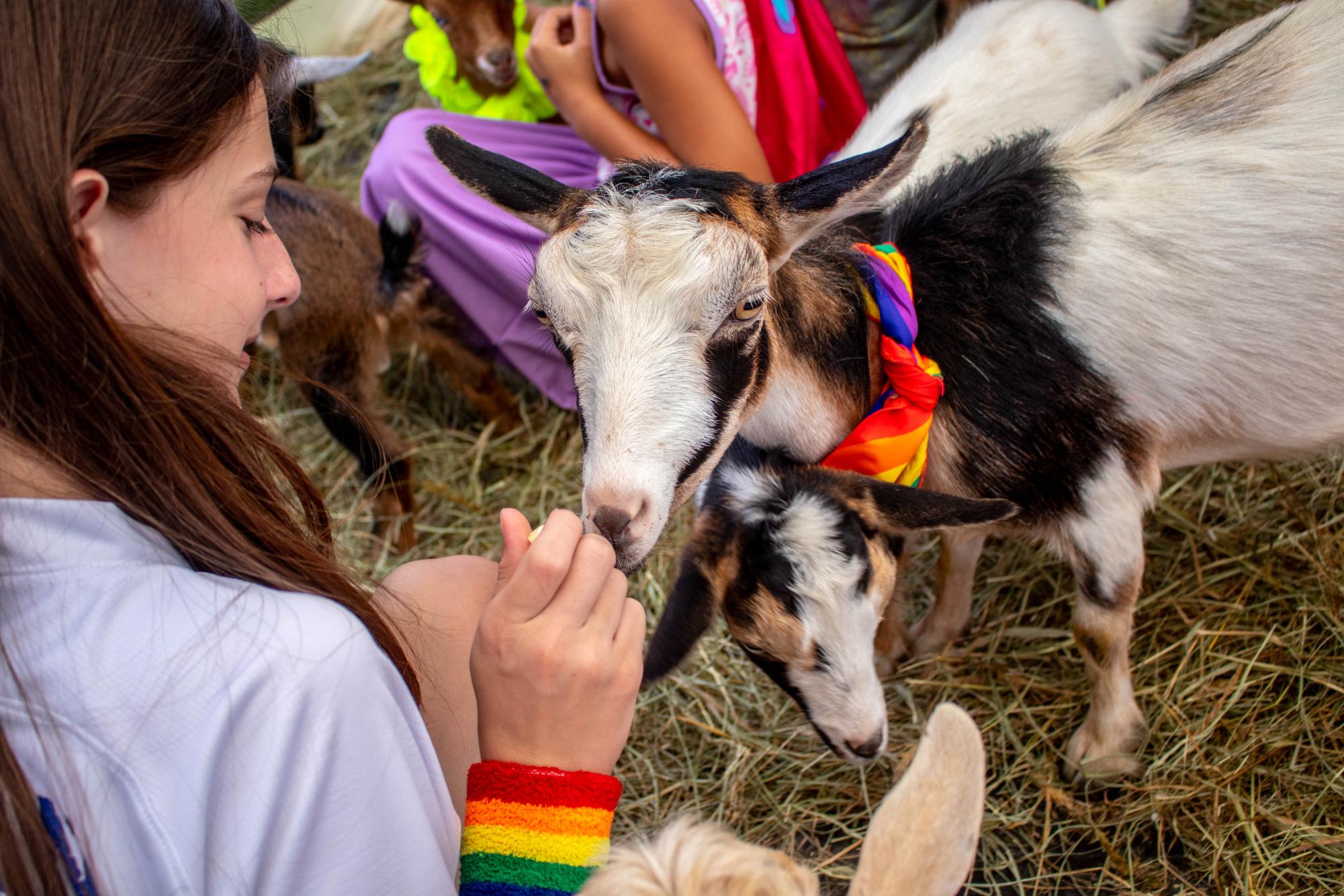 Pride in Park featured music, face painting and goats