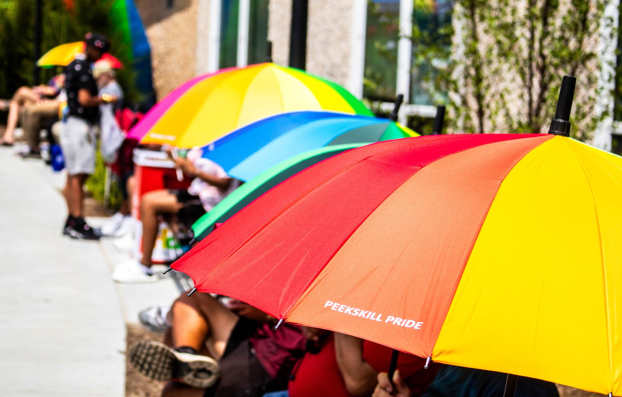 Pride in Park featured music, face painting and goats