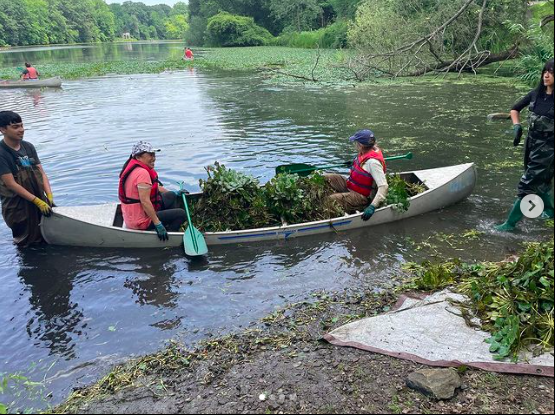 Volunteers needed to clean Lounsbury Pond and kayak tours to Worlds End