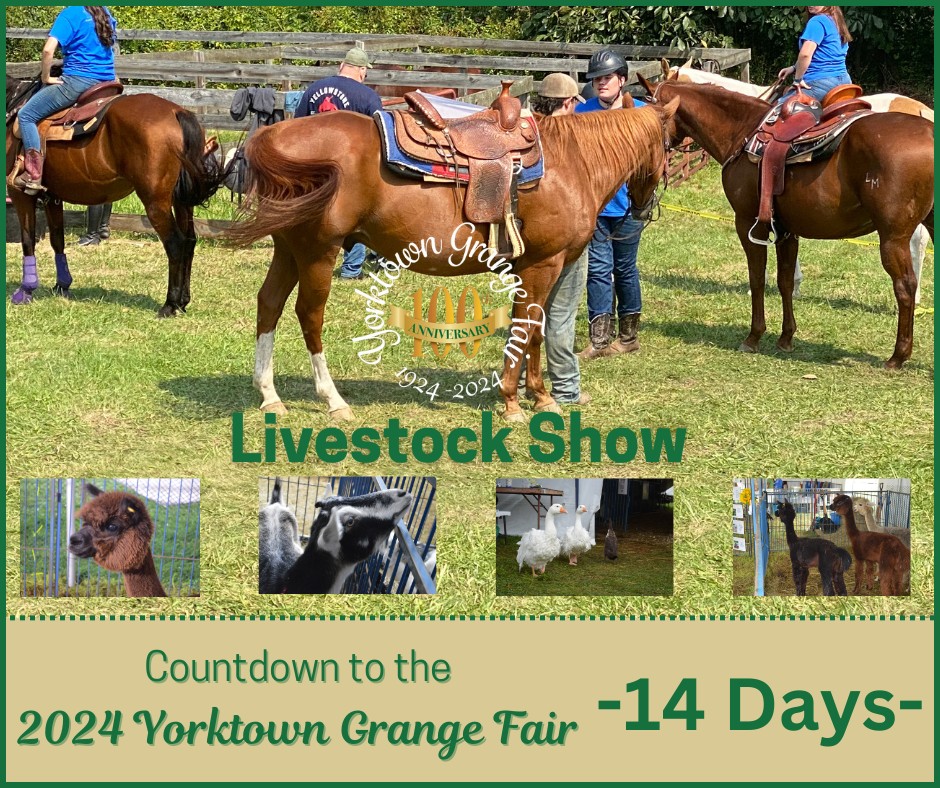 100th Anniversary of the Yorktown Grange Fair