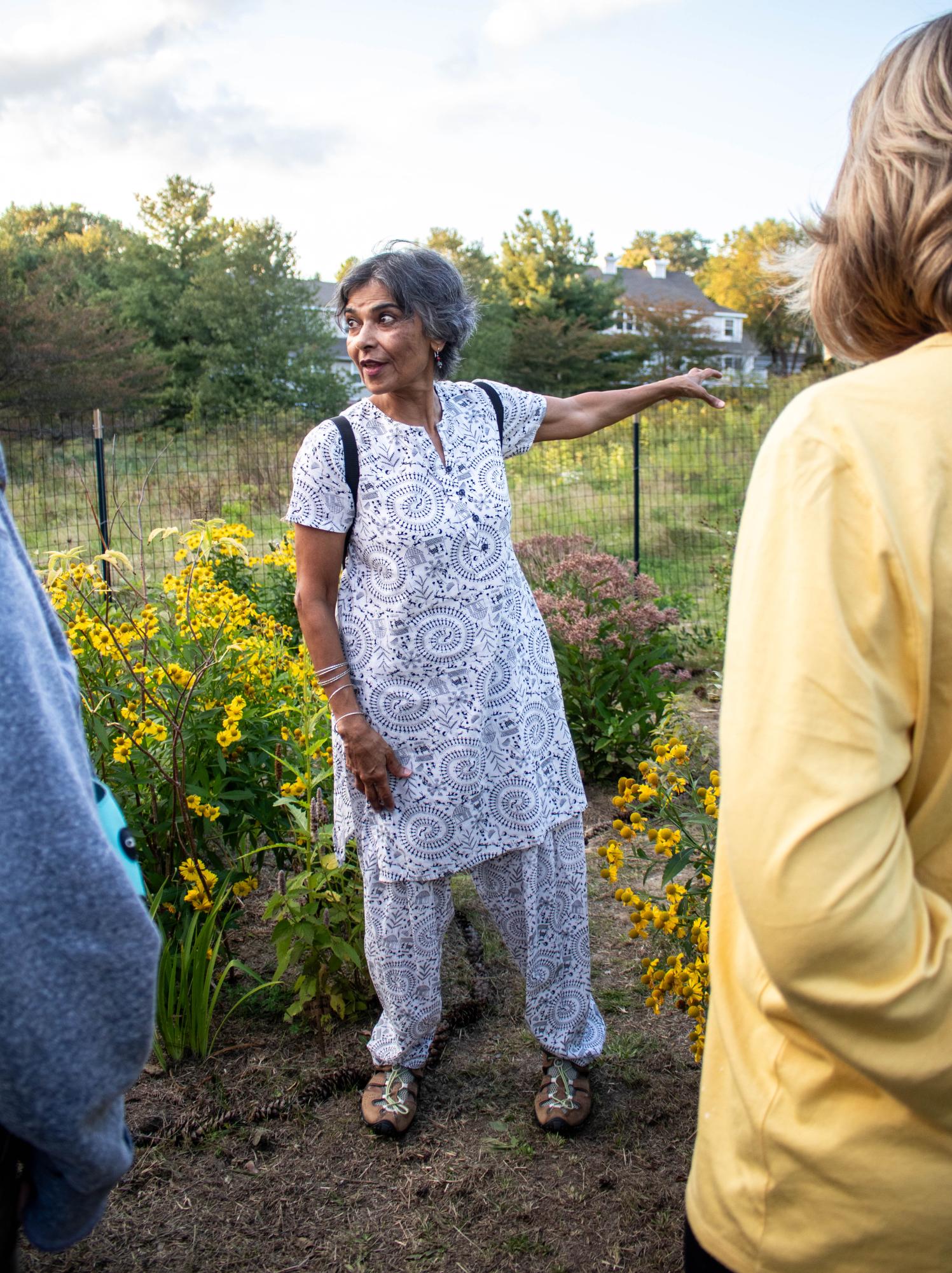 Pollinator garden transforms Chapel Hill meadow