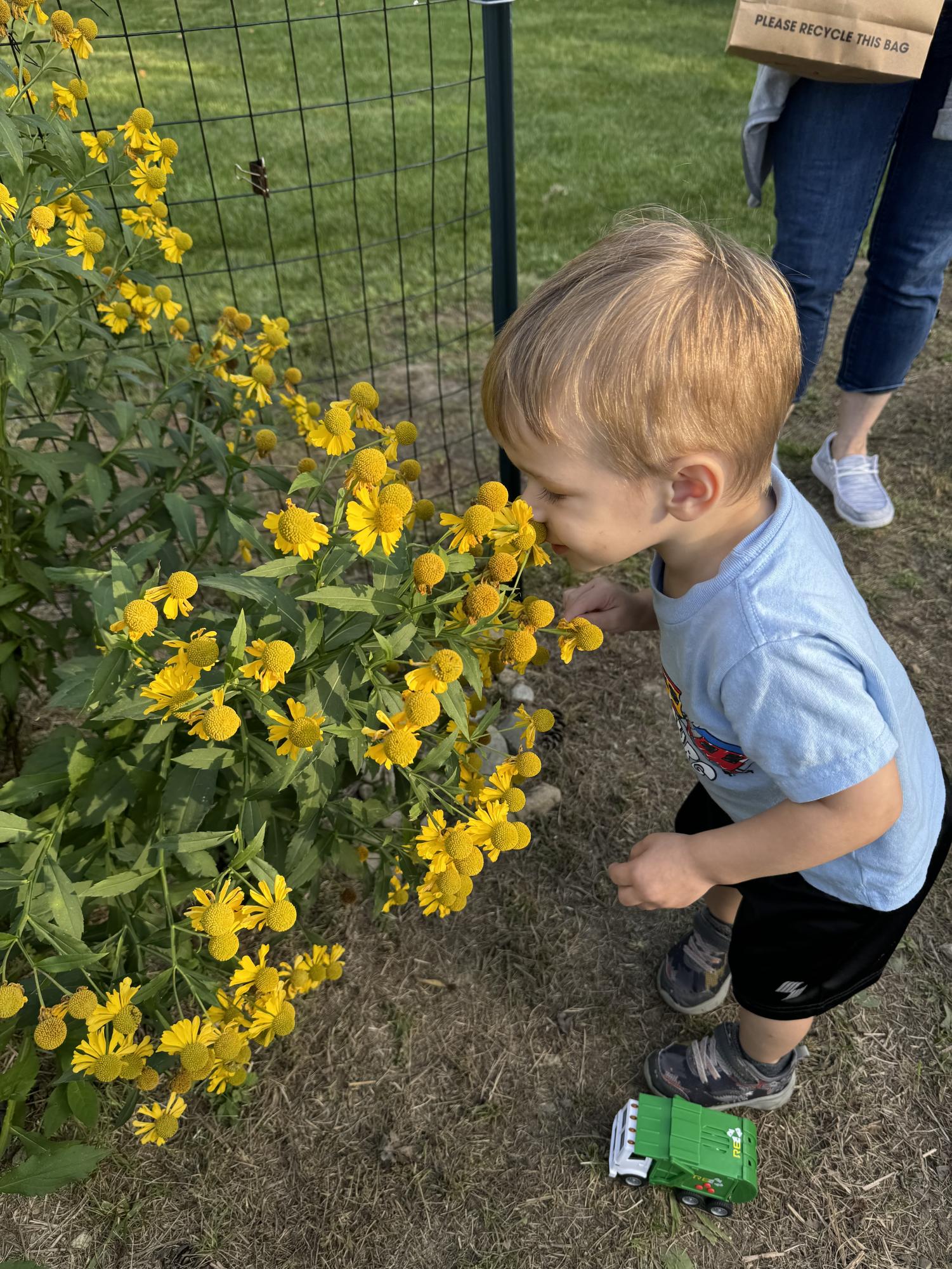 Pollinator garden transforms Chapel Hill meadow