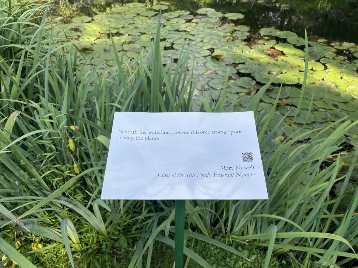 Poetry flowers at Stonecrop