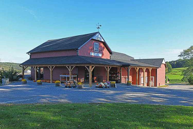 A farm tour, a clean routine cleanup, and a new little library make 3 family activities to do this weekend