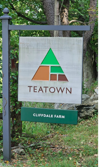 What invertebrates will you find at Cliffdale Farm in Teatown when you sweep the meadow?