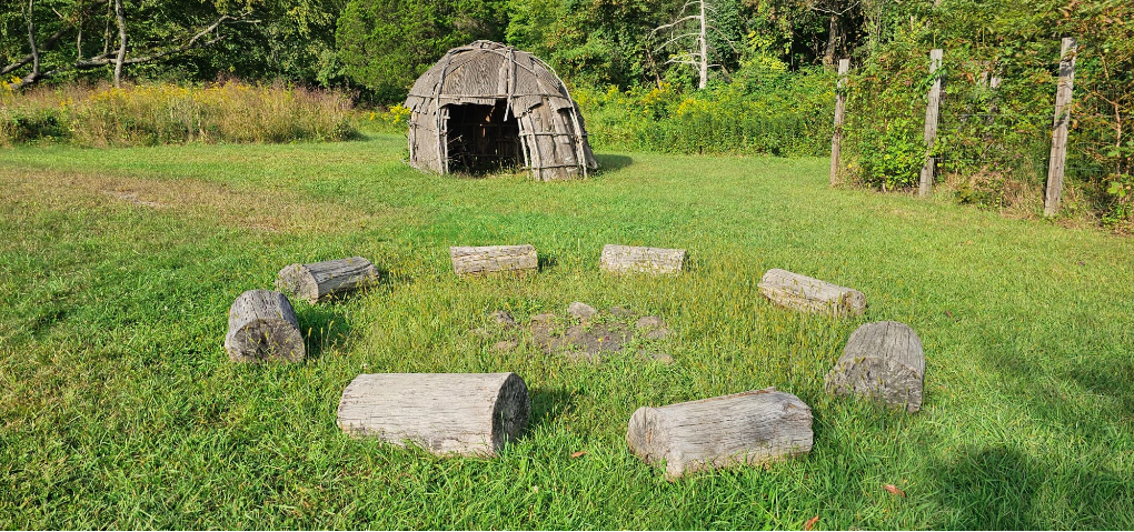 What invertebrates will you find at Cliffdale Farm in Teatown when you sweep the meadow?