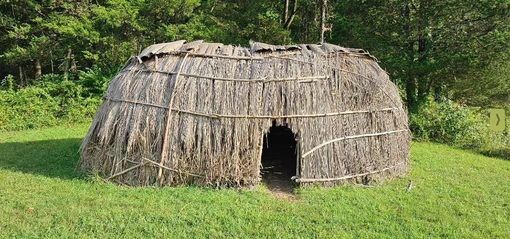 What invertebrates will you find at Cliffdale Farm in Teatown when you sweep the meadow?