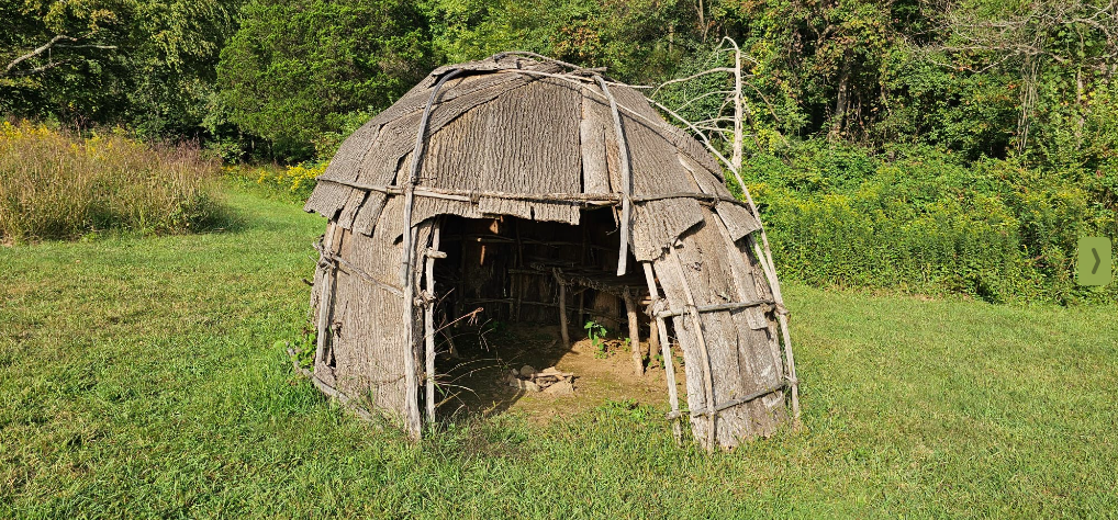 What invertebrates will you find at Cliffdale Farm in Teatown when you sweep the meadow?