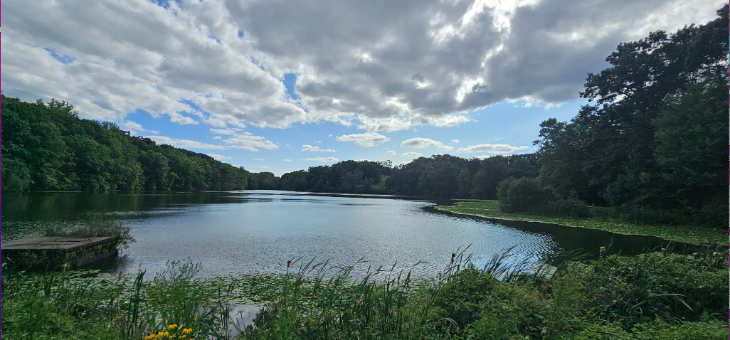 Roll & Stroll hike Sunday at Rockefeller State Park