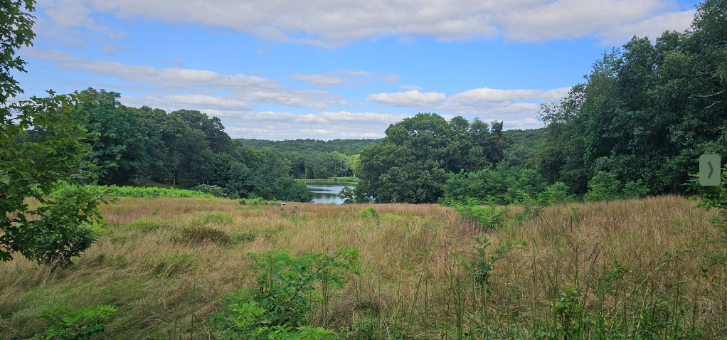 Roll & Stroll hike Sunday at Rockefeller State Park