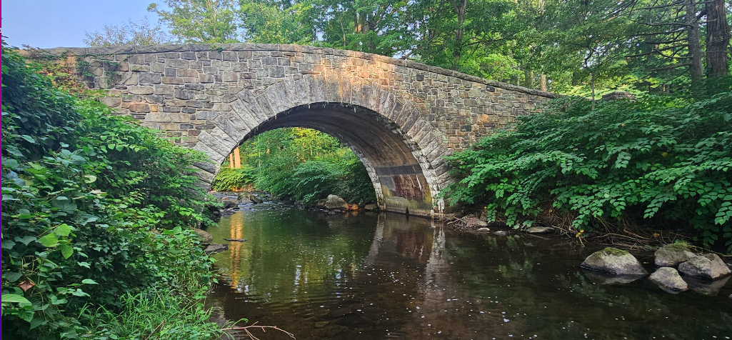 Roll & Stroll hike Sunday at Rockefeller State Park