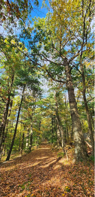 Roll & Stroll hike Sunday at Rockefeller State Park