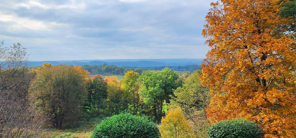 Roll & Stroll hike Sunday at Rockefeller State Park