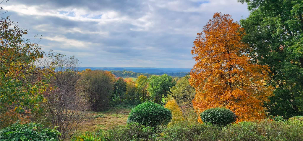 Roll & Stroll hike Sunday at Rockefeller State Park