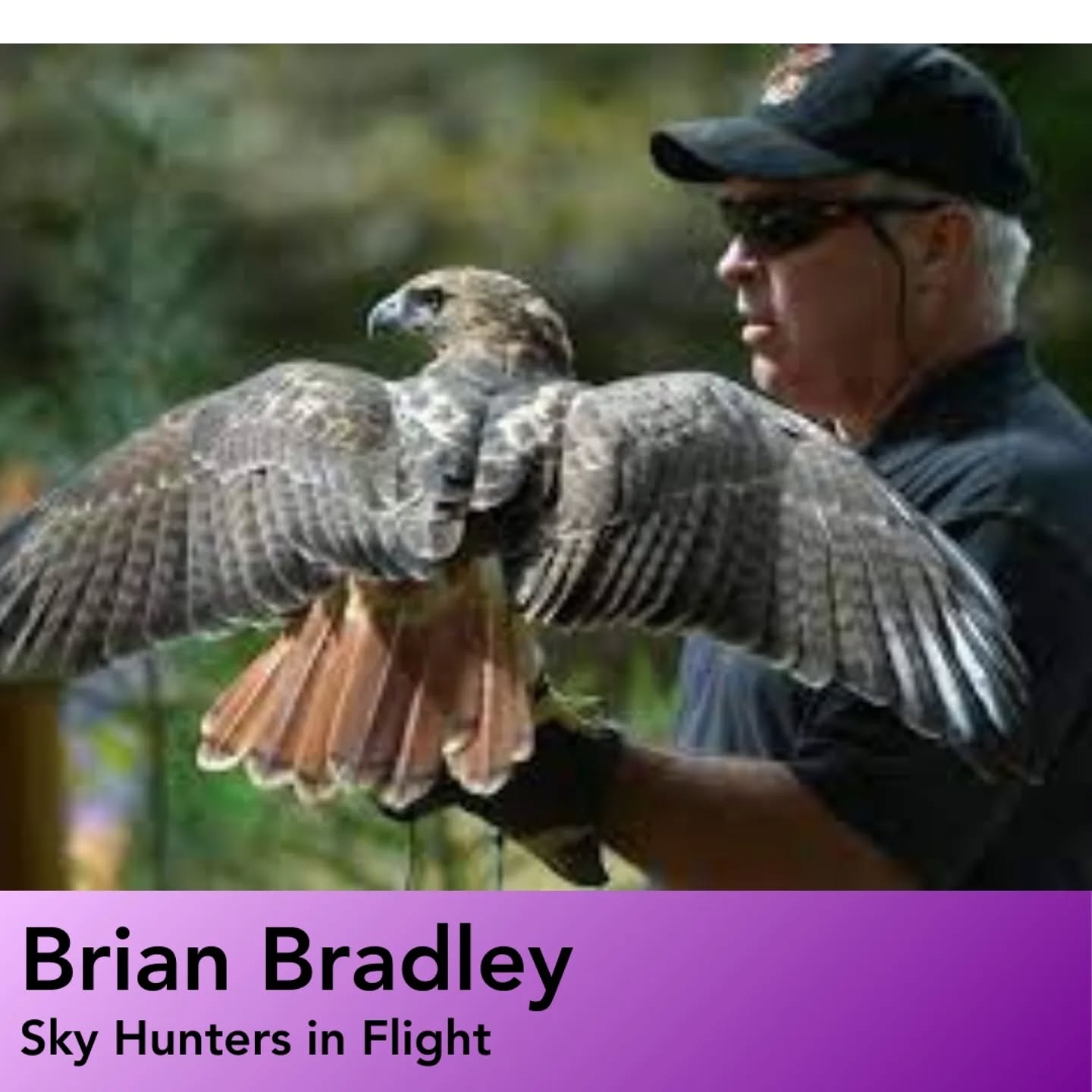 EagleFest is an all-day festival celebrating America’s most famous bird