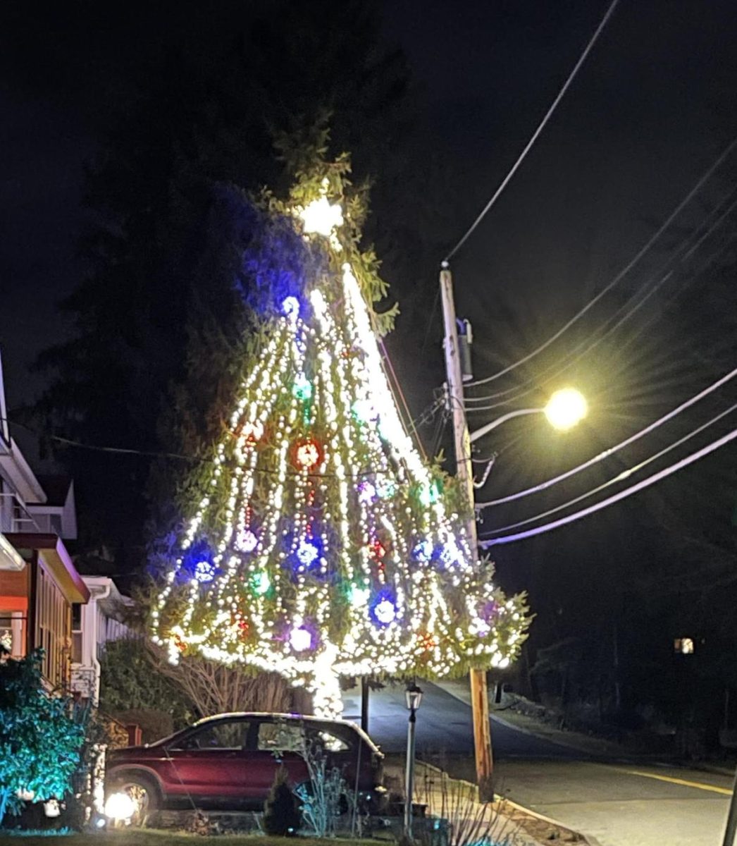 The light display on the evening of New Year’s Day.