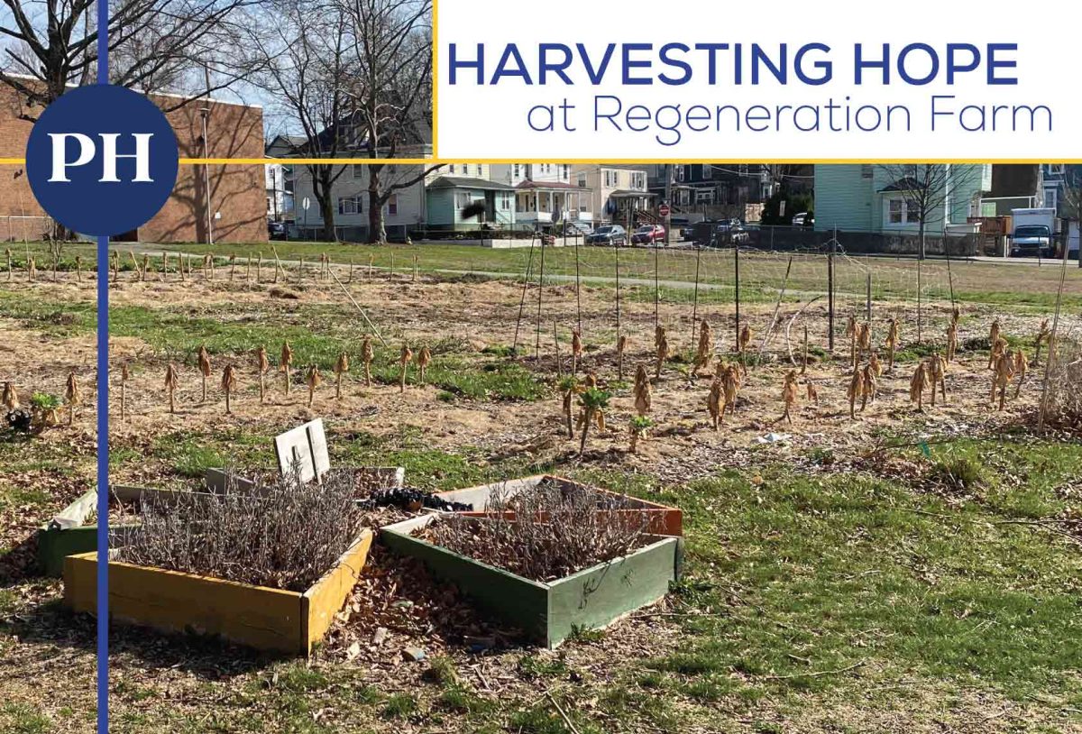 Regeneration Farm in March, awaiting cleanup, seeds, and seedlings.
