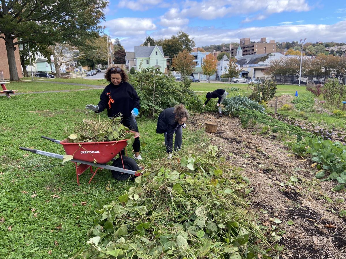 Women participating in gardening tasks during a community workday. 