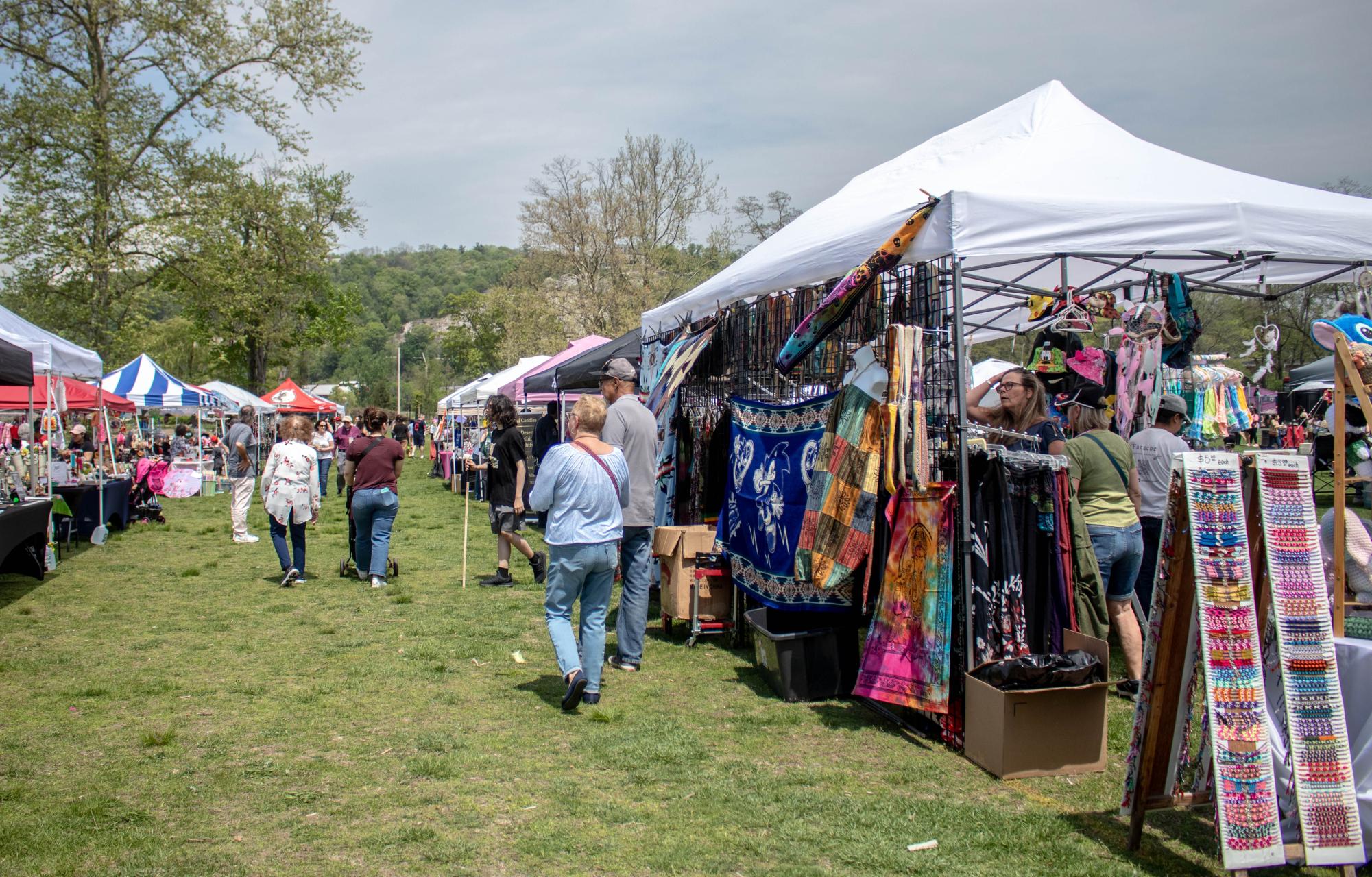 Picture This on a Single Saturday: Cinco de Mayo, Cherry Blossoms, May Day Rally