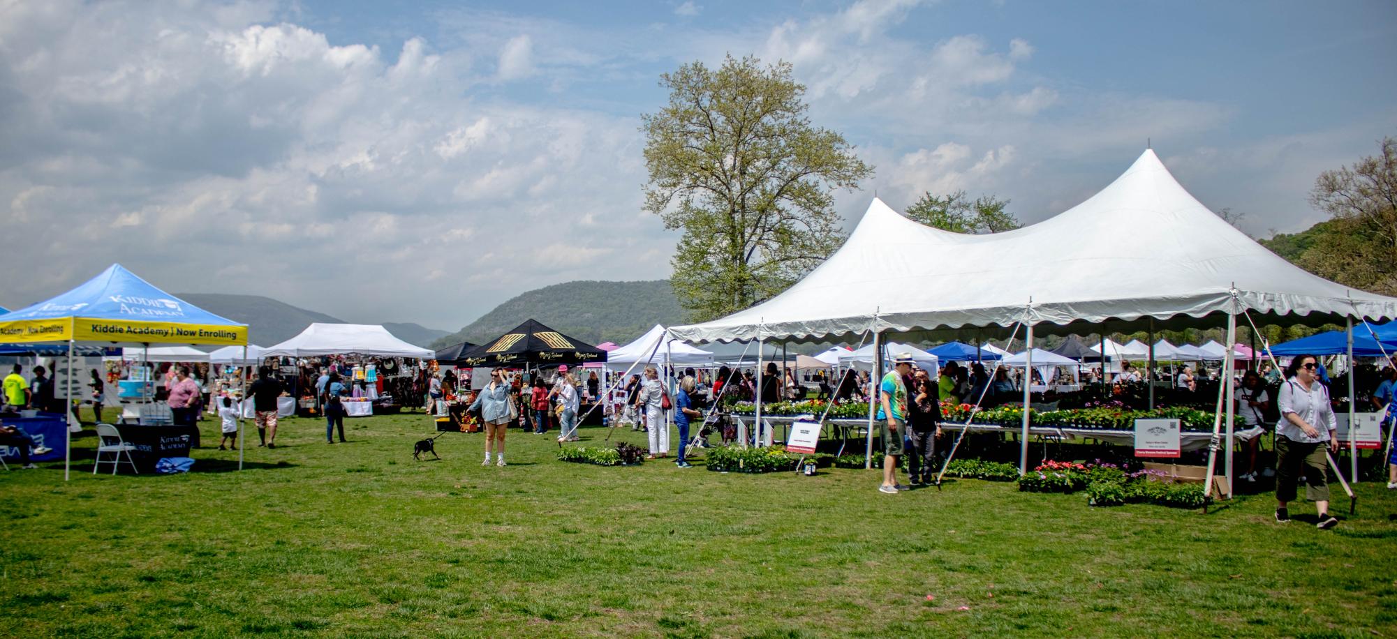 Picture This on a Single Saturday: Cinco de Mayo, Cherry Blossoms, May Day Rally