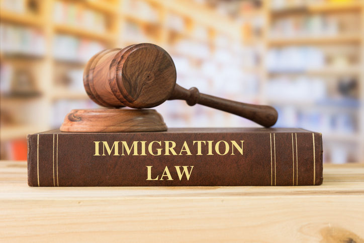 A Crash Course in Immigration Policies for Business Owners