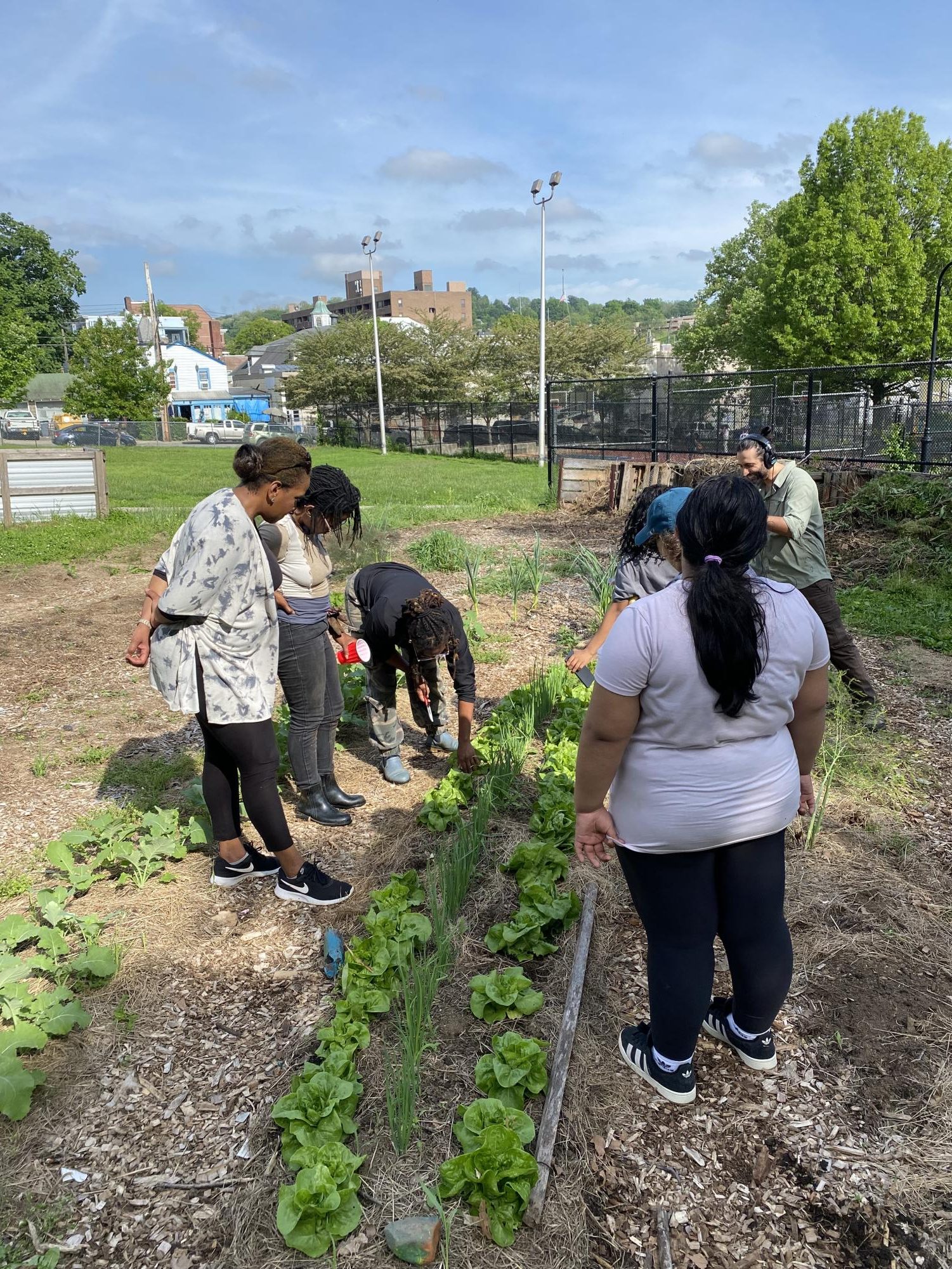 Women’s Day at the farm began with lettuce, the event’s crop headliner