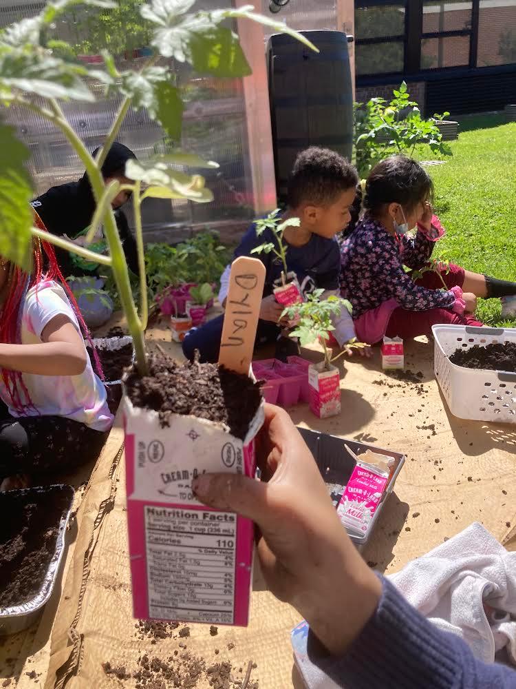 [Insert Photo 1 Student artwork. Caption: Student artwork inspired by the school garden is part of the celebration. 