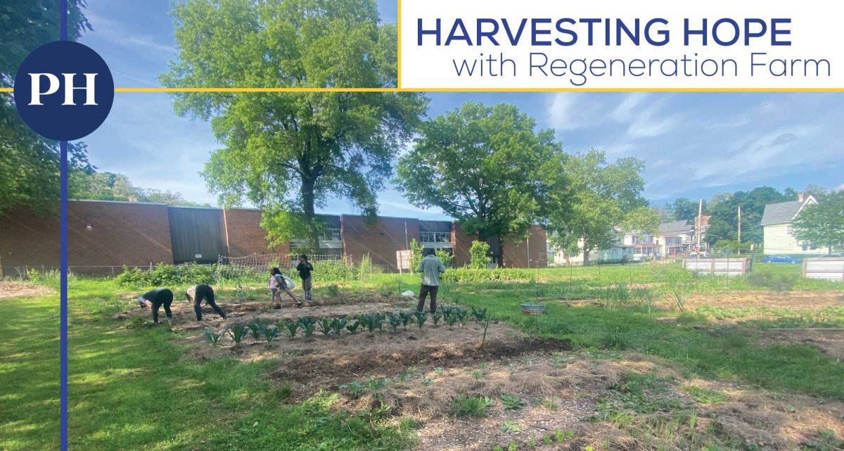 May at Regeneration Farm