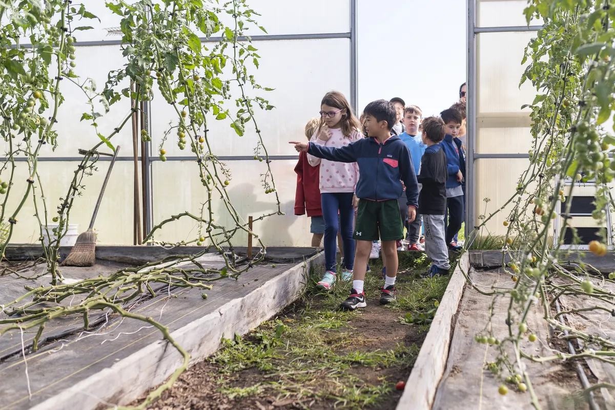 Children explore the surroundings of Hilltop Hanover Farm, engaging in hands-on activities that complement the stories told during the session. (Hilltop Hanover Farm)