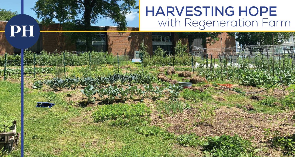 There was lots growing--and going on--at Regeneration Farm on Juneteenth.