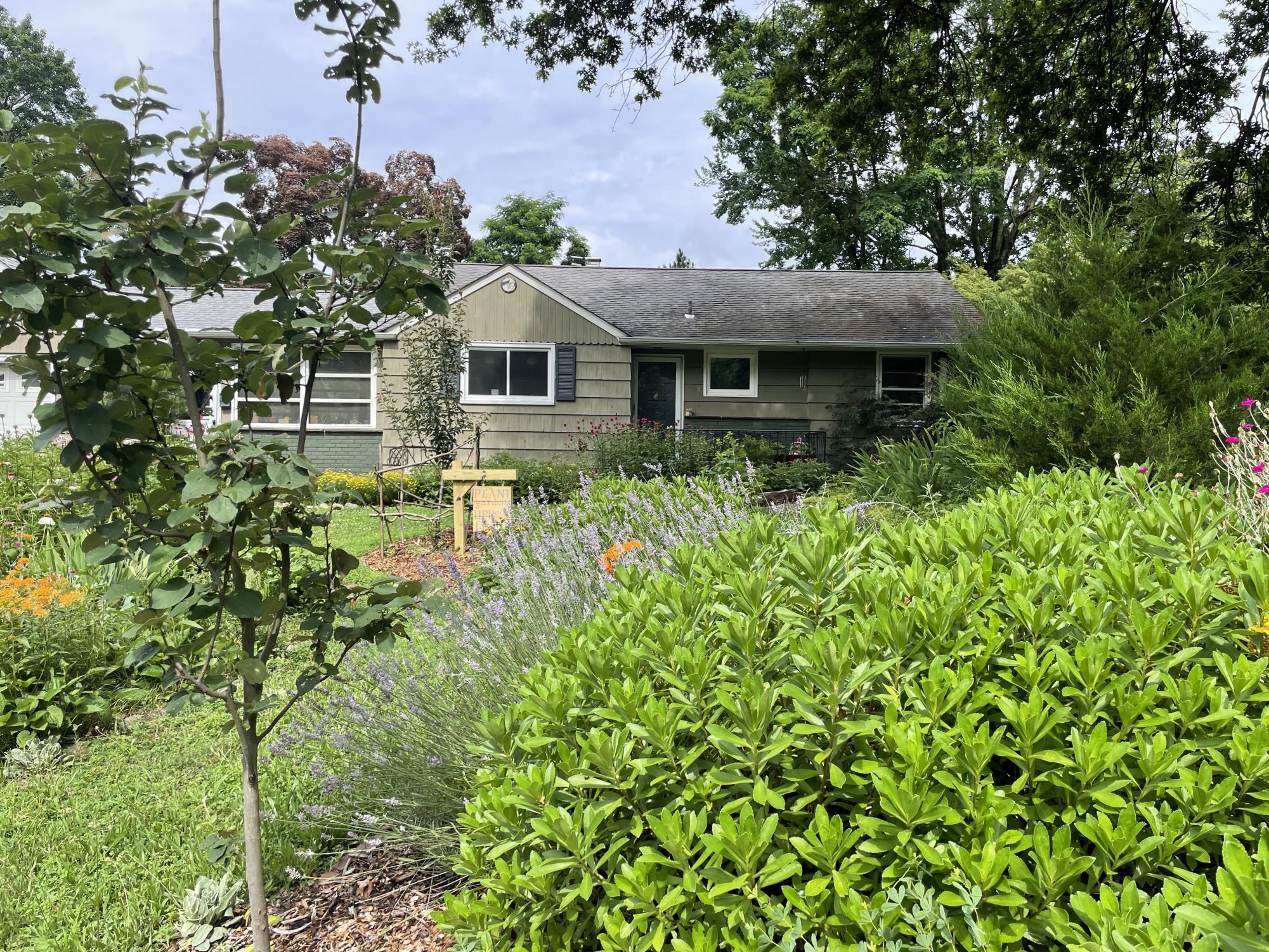 Ask a Gardener: Elisabeth McAvoy and Chris Barrett on Their Suburban Food Forest
