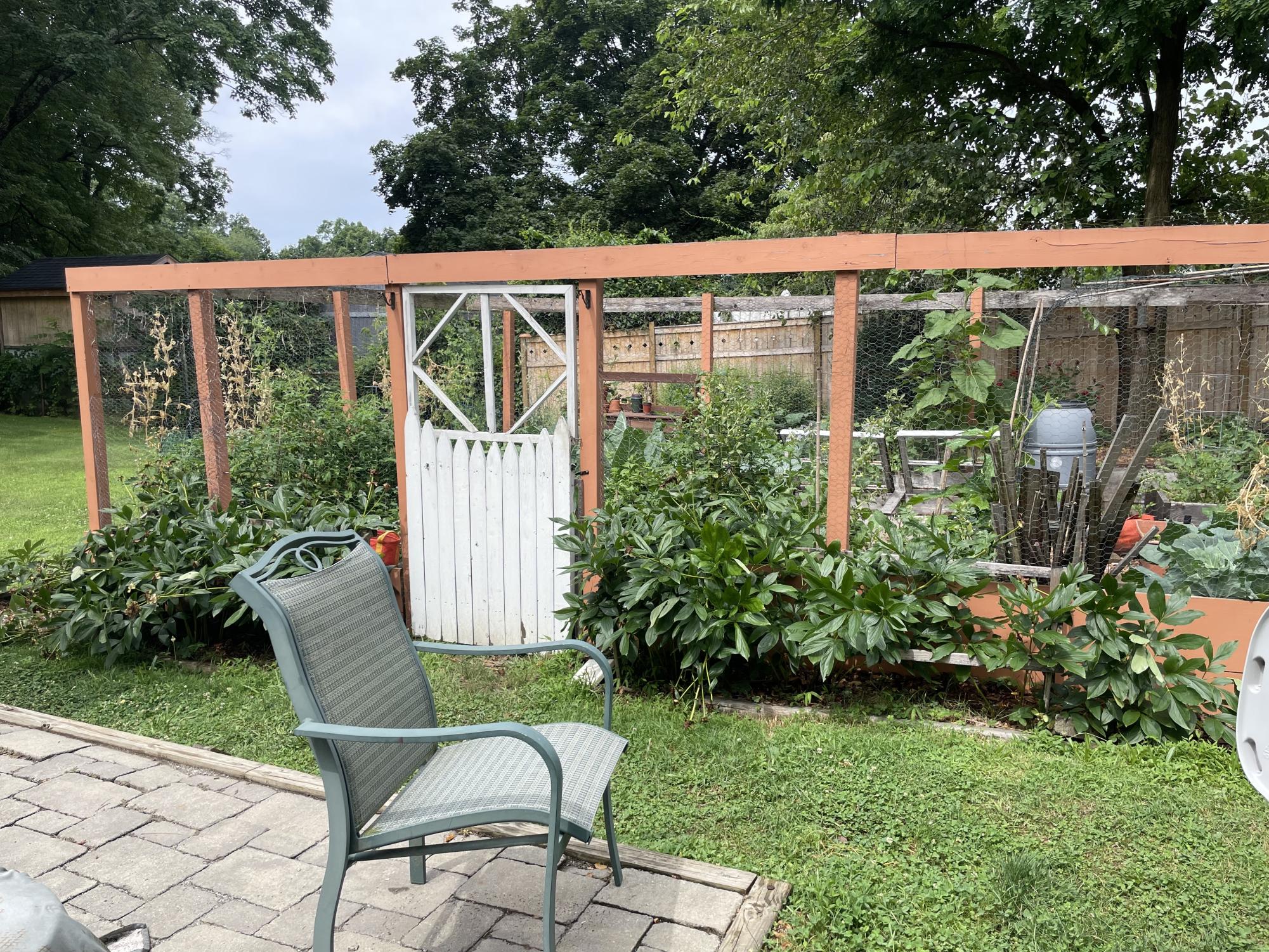 Ask a Gardener: Elisabeth McAvoy and Chris Barrett on Their Suburban Food Forest