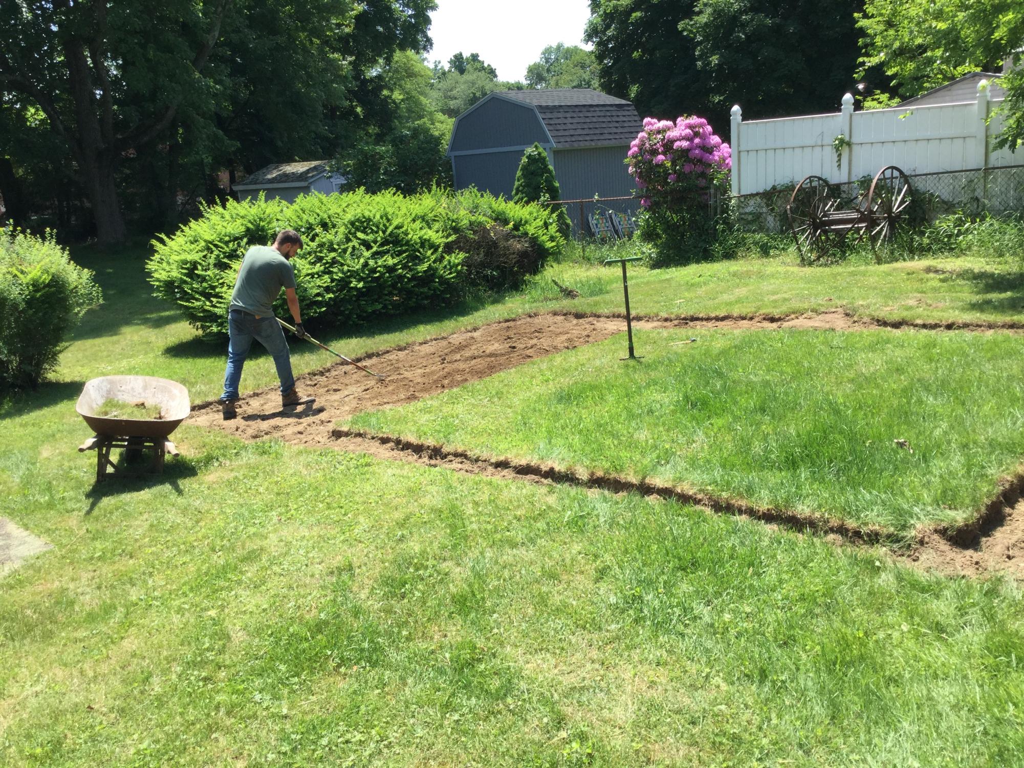Ask a Gardener: Elisabeth McAvoy and Chris Barrett on Their Suburban Food Forest