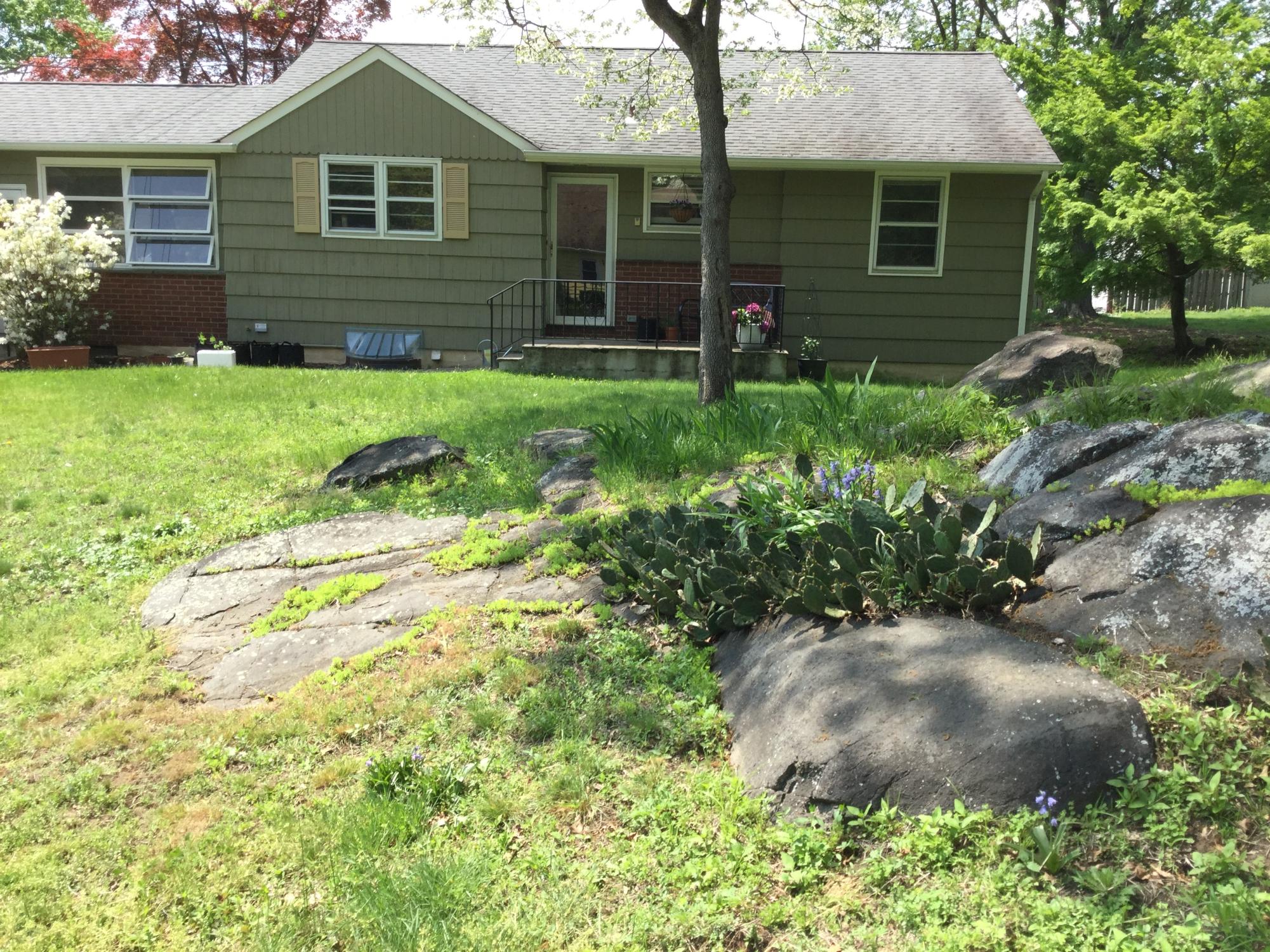 Ask a Gardener: Elisabeth McAvoy and Chris Barrett on Their Suburban Food Forest